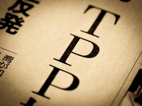 ブレグジットと民主主義 キヤノングローバル戦略研究所