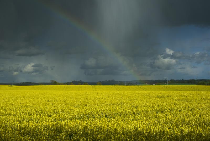 気候とは何か？ キヤノングローバル戦略研究所