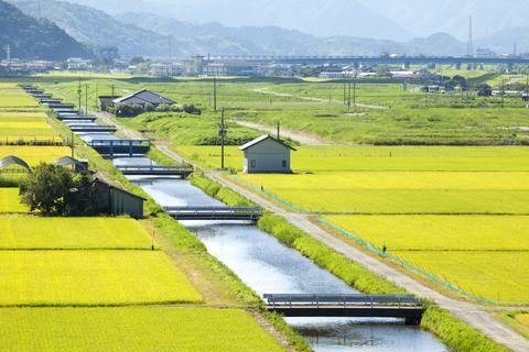 日本の農地をどうするのか？