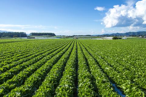 化石燃料技術と農業におけるCO2有効利用