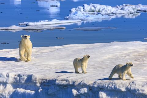 米国政府、科学的知見を見直し1兆ドル規模のCO2規制緩和を提案