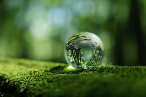 米国の気候作業部会報告を読む②：地球緑色化（グローバル・グリーニング）