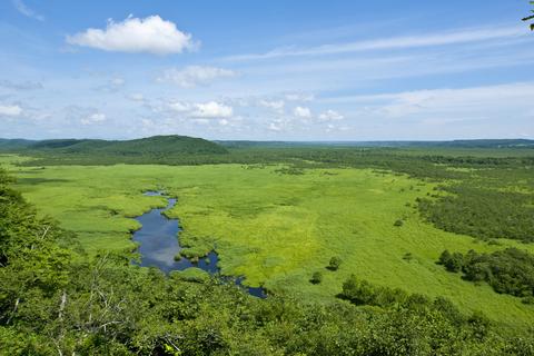 釧路湿原を破壊して中国製パネルを並べてCO2は減るのか