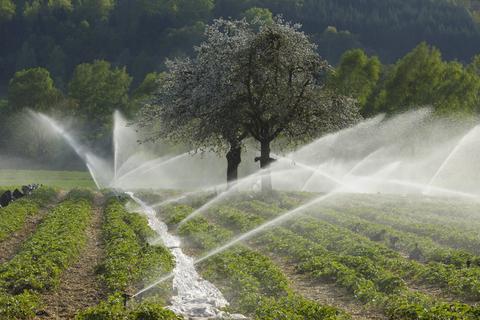 人為的な水蒸気発生が降水量増加の原因である