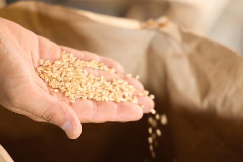 農林水産省が推進するコメの“需要に応じた生産”