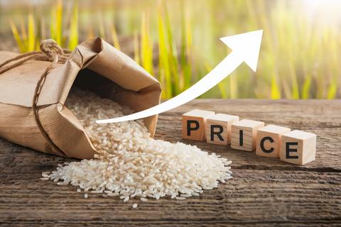 やっぱり進次郎のほうがマシ…｢コメの値下げは無理｣と言い張る農水大臣に､高市首相が命じるべき｢5つの策｣