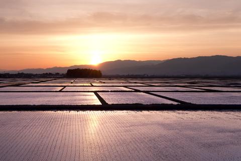 亡国農政を終わらせるために