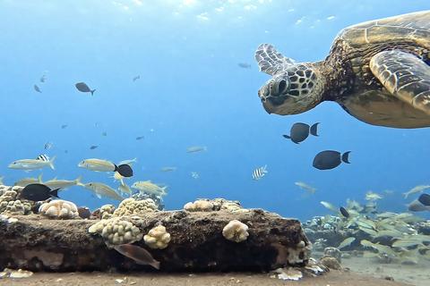 Challenges of the BBNJ Agreement: from the Perspective of Japan’s Ratification