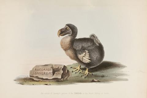 種の絶滅は気候変動のせいでは無かったことをデータで確認