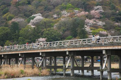 《取材協力》日本経済新聞からの取材が記事になりました