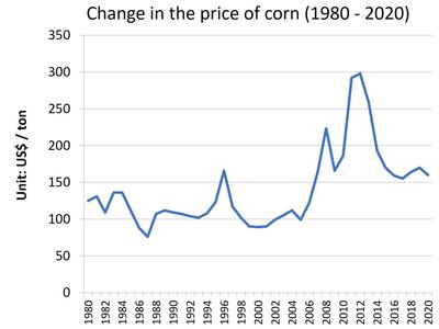 20200426_yamashita_corn.jpg