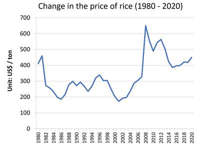 20200426_yamashita_rice.jpg