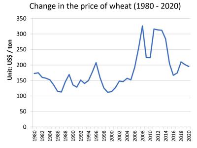 20200426_yamashita_wheat.jpg