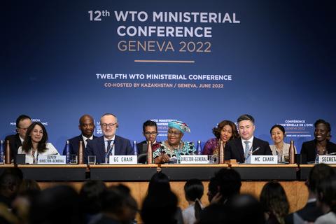 Can the WTO Solve the Food Crisis?